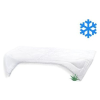 Brotex Predĺžená prikrývka Aloe Vera 140 × 220 cm zimná 1430 g