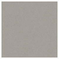 Dlažba Rako Compila taupe 60x60 cm mat DAK62867.1