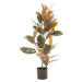 Umelý fikus (výška  90 cm) Ficus – Ixia