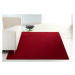 Kusový koberec Nasty 101151 Rot Rozmery koberca: 200x300