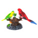 mamido Spievajúci Pohyblivé Papagáje na Farebnom Strome