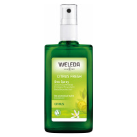 WELEDA Citrusový telový deodorant 100 ml