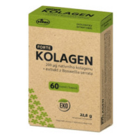 VITAR Kolagén forte + extrakt z Boswellia serrata EKO 60 cps