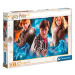 Puzzle 500, Harry Potter