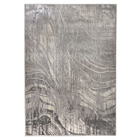 Kusový koberec Eris Arissa Silver Rozmery koberca: 160x230