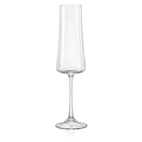 Súprava 6 pohárov na šampanské Crystalex Xtra, 210 ml Crystalex-Bohemia Crystal