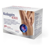 KOLAGÉN 4000 30 ks