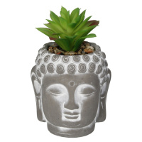 Dekoria Dekorácia Succulent III Buddha 17cm, 10 x 10 x 17 cm