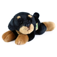 Plyšový pes rotvajler ležiaci 30 cm ECO-FRIENDLY