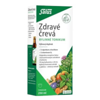 SALUS Zdravé črevá bylinné tonikum 250 ml