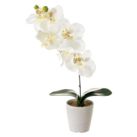 Umelá rastlina (výška  45 cm) Orchid – Casa Selección