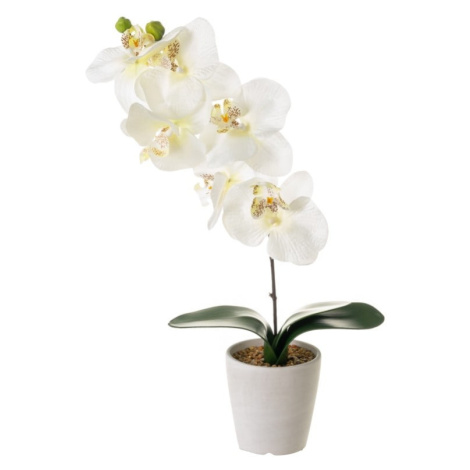 Umelá rastlina (výška  45 cm) Orchid – Casa Selección