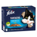 FELIX Fantastic cat Multipack výber z rýb v želé kapsičky pre mačky 12x85g