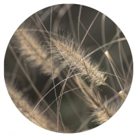 Obraz ø 40 cm Mellow Grasses 2 – Malerifabrikken