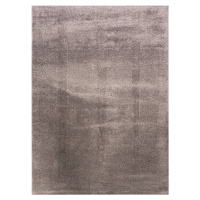 Kusový koberec Microsofty 8301 Brown - 200x290 cm Berfin Dywany