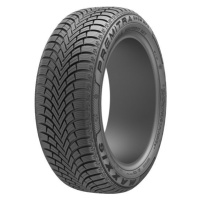 Maxxis PREMITRA SNOW WP6 225/40 R18 92V