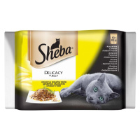 Sheba Delikatesse Hydinová Výber v Želé - 4x85g