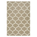 Svetlohnedý ručne tkaný vlnený koberec 200x290 cm Albany – Asiatic Carpets