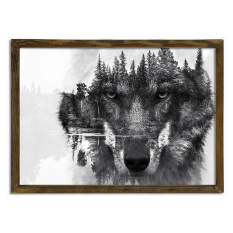 Nástenný obraz Husky, 70 × 50 cm Evila Originals