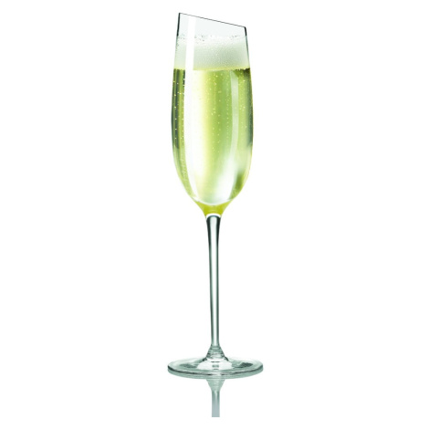 Pohár na šampanské Eva Solo, 200 ml