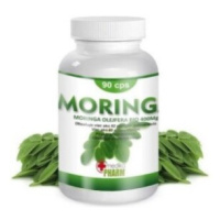 MORINGA Oleifera 90 kusov