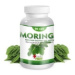 MORINGA Oleifera 90 kusov