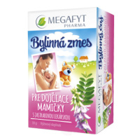 MEGAFYT Bylinný čaj pre dojčiace matky s jastrabinou 20 x 1.5 g