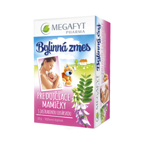 MEGAFYT Bylinný čaj pre dojčiace matky s jastrabinou 20 x 1.5 g