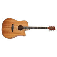 Tanglewood TUN 5 CE