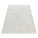 Kusový koberec Brilliant Shaggy 4200 Natur - 200x290 cm Ayyildiz koberce