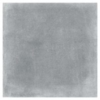 Dlažba Fineza Raw tmavo sivá 60x60 cm mat DAK63492.1