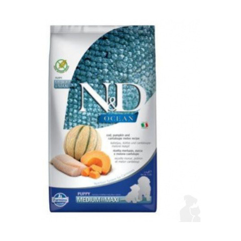 N&D OCEAN DOG Puppy M/L Codfish & Pumpkin& Melon 2,5kg