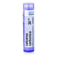 BOIRON Calcarea carbonica CH30 4 g