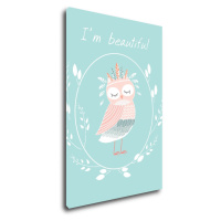 Impresi Obraz I'm beautiful owl - 40 x 60 cm