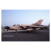Plastic ModelKit letadlo 03892 - Tornado GR Mk. 1 RAF "Gulf War" (1:32)