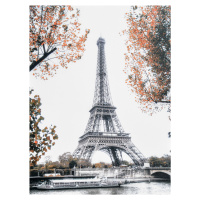 Obraz na plátne 75x100 Eifelová veža, c891
