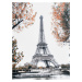 Obraz na plátne 75x100 Eifelová veža, c891