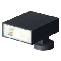 WEVER & DUCRÉ Stake 1.0 LED vonkajší reflektor čierny