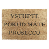 Rohožka z kokosového vlákna 40x60 cm Prosecco – Artsy Doormats