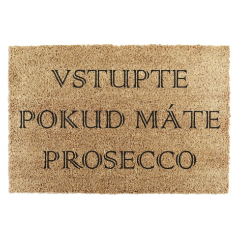 Rohožka z kokosového vlákna 40x60 cm Prosecco – Artsy Doormats