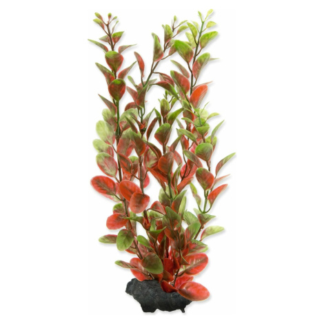 Dekorácia Tetra Rastlina Red Ludwigia M 23cm