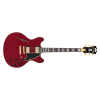 D'Angelico Excel DC Trans Cherry