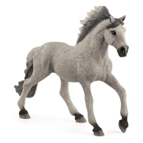 Schleich Žrebec Sorraia Mustang