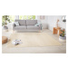 Kusový koberec Nasty 101152 Creme - 80x150 cm Hanse Home Collection koberce