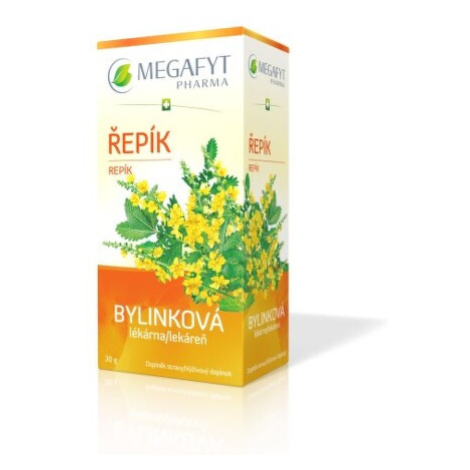 MEGAFYT Bylinková lekáreň repík 20 x 1,5 g