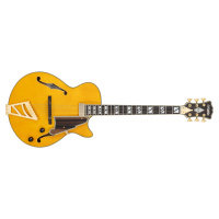 D'Angelico Excel SS Soho Amber