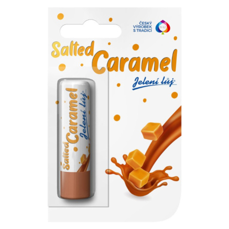 REGINA SALTED CARAMEL - Balzam na pery s príchuťou slaného karamelu 4,5 g