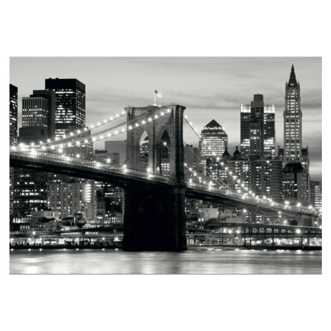 FTN S 2465 AG Design vliesová fototapeta 4-dielna Brooklyn bridge black and white