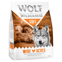 Wolf of Wilderness 