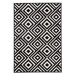 Kusový koberec Capri 102553 Rozmery koberca: 160x230